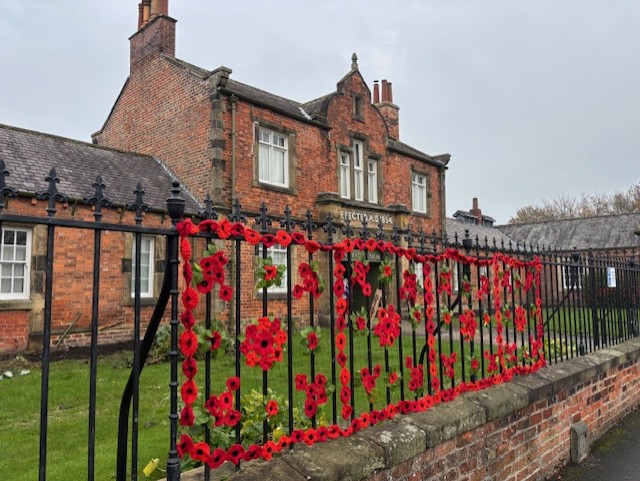 Museum collection displays